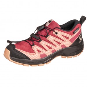 /10068-48542-thickbox/salomon-xa-3d-pro-deep-water.jpg