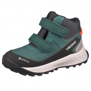 /11354-54956-thickbox/viking-old-pink-gtx.jpg