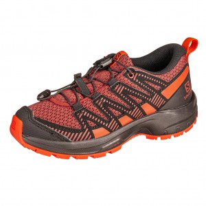 /9936-47881-thickbox/salomon-xa-3d-pro-deep-water.jpg