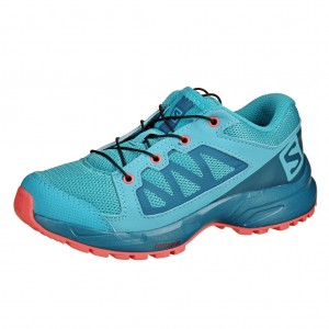 Dětská obuv Salomon XA Elevate J  /bluebird - 