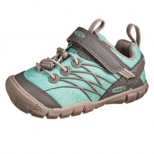 /9952-47961-thickbox/keen-targhee.jpg
